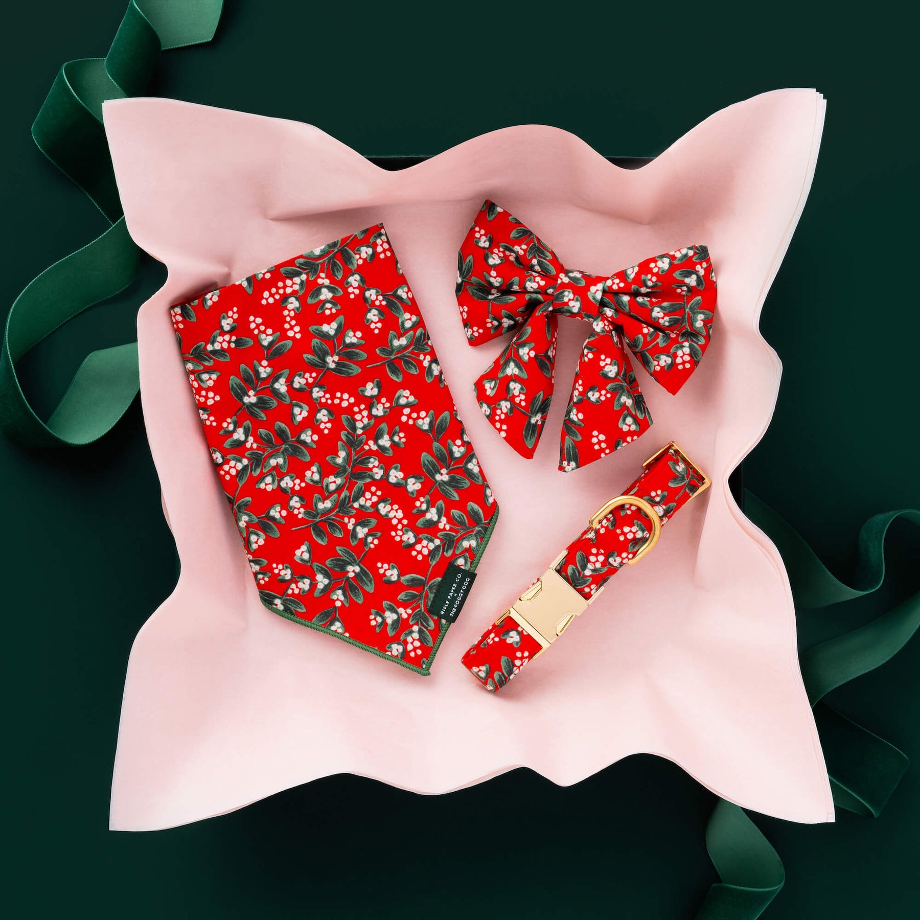 Rifle Paper Co. x TFD Mistletoe Lady Bow Collar