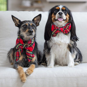 Tartan Plaid Flannel Dog Bow Tie