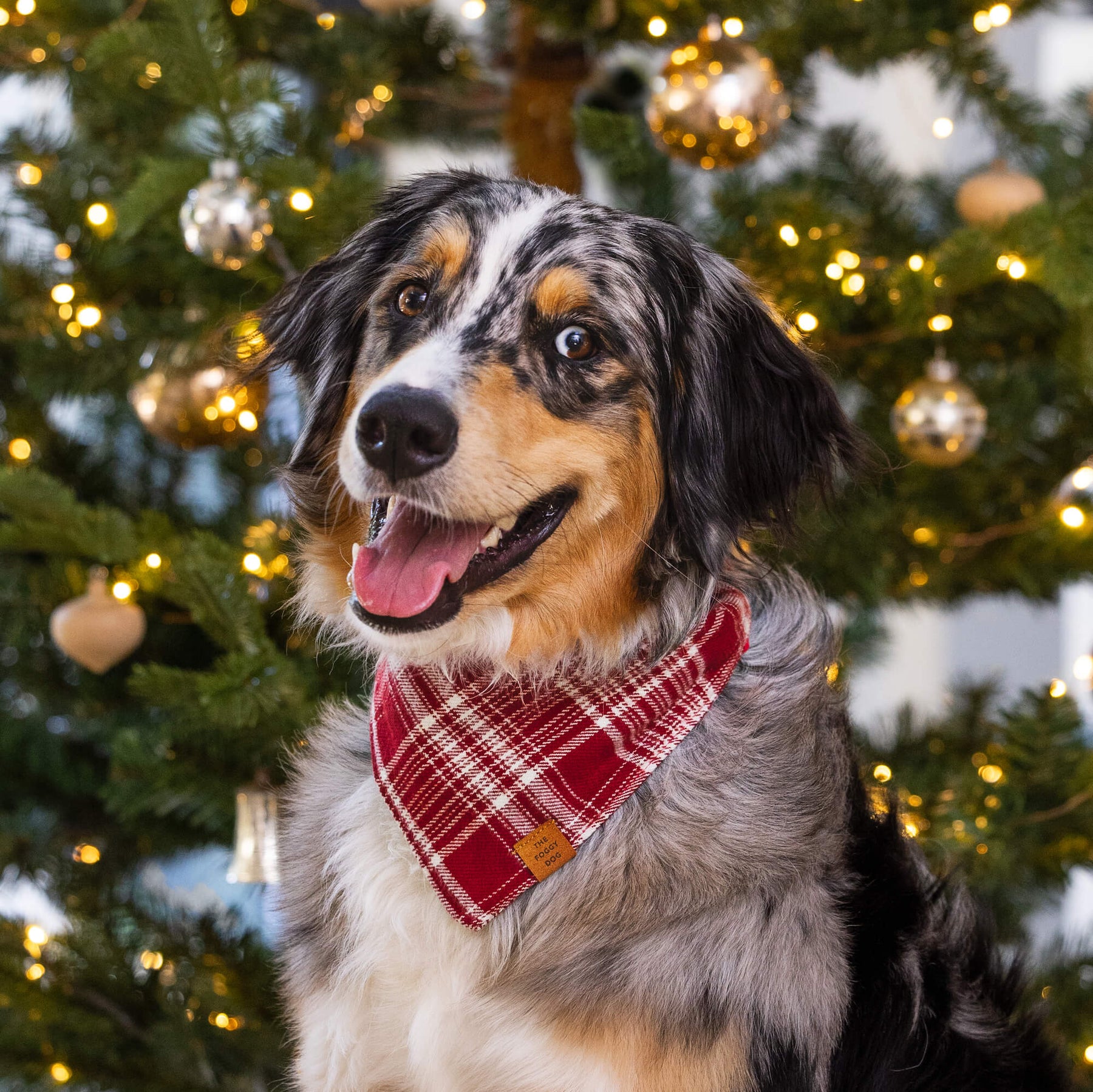 Marsala Plaid Flannel Dog Bandana