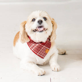 Marsala Plaid Flannel Dog Bandana