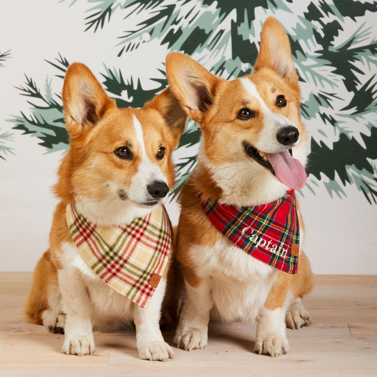 Tartan Plaid Flannel Dog Bandana