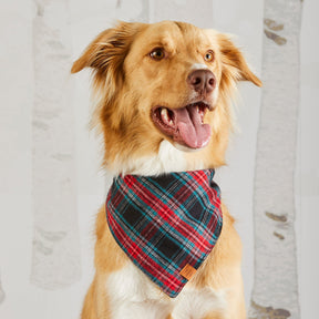 Draper James x TFD Georgia Plaid Dog Bandana