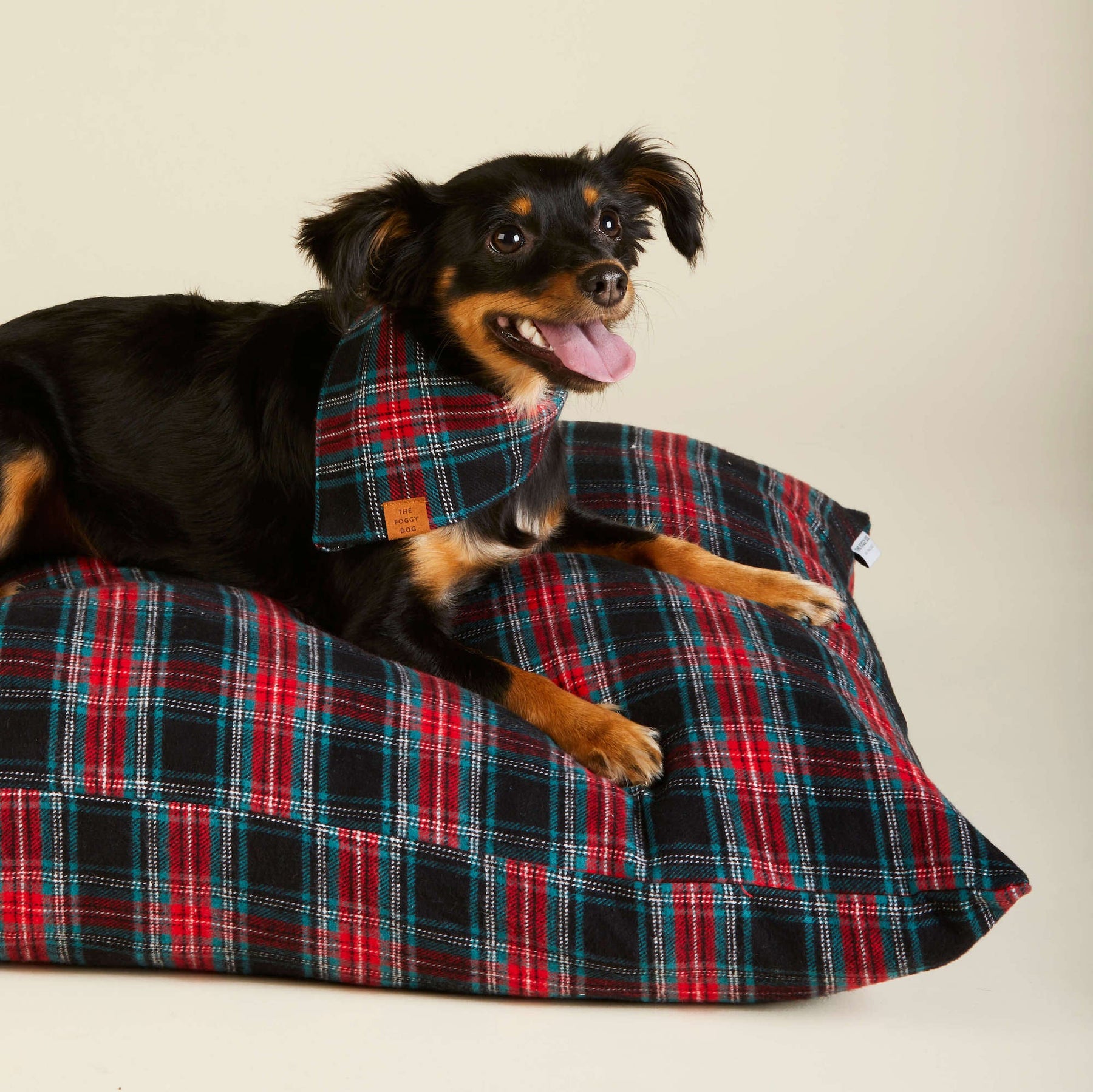 Draper James x TFD Georgia Plaid Dog Bed