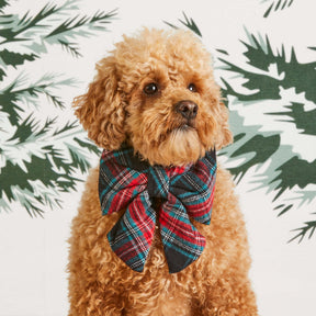 Draper James x TFD Georgia Plaid Lady Dog Bow