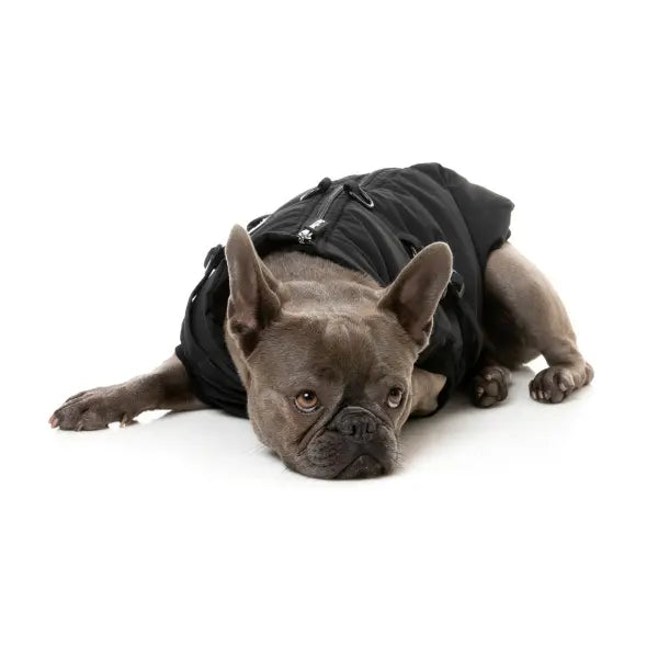 FuzzYard Flash Dog Harness Jacket - Black