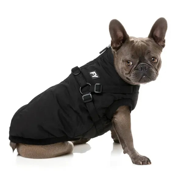 FuzzYard Flash Dog Harness Jacket - Black