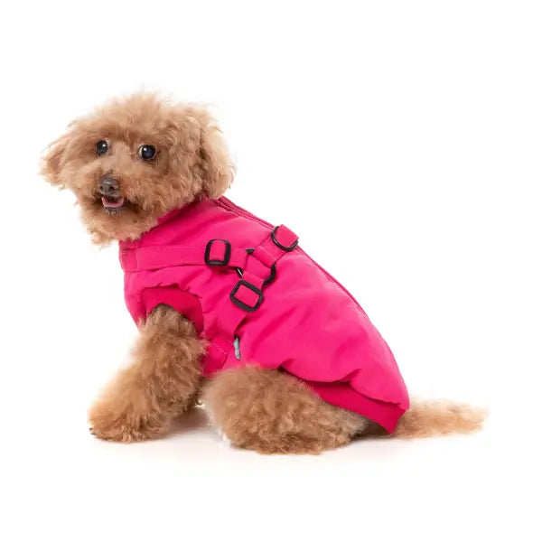 FuzzYard Flash Dog Harness Jacket - Magenta