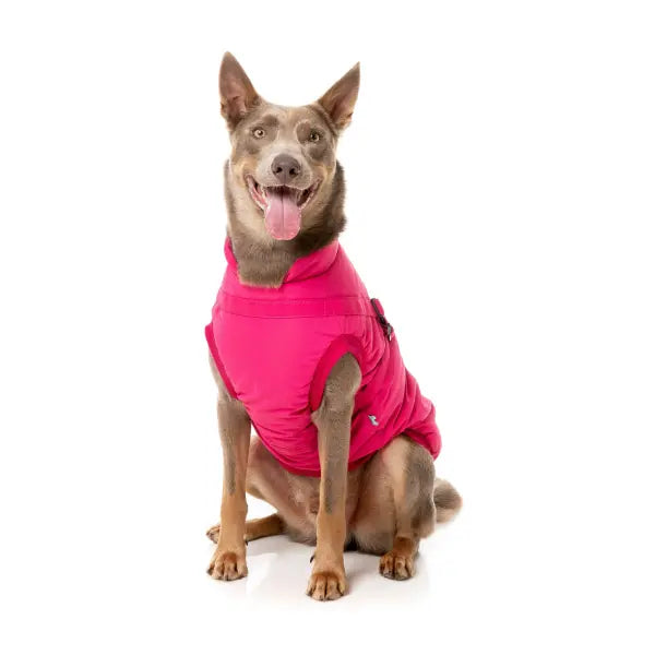 FuzzYard Flash Dog Harness Jacket - Magenta