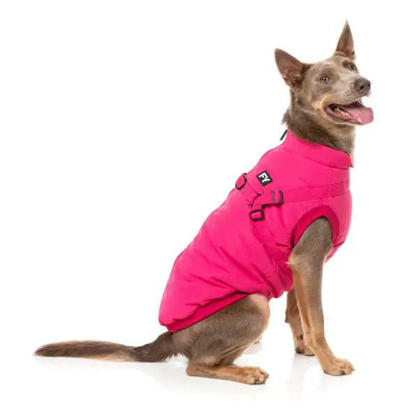 FuzzYard Flash Dog Harness Jacket - Magenta