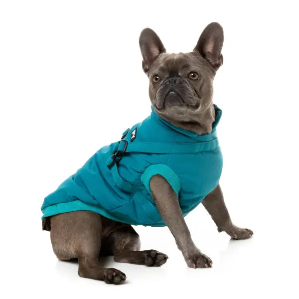 FuzzYard Flash Dog Harness Jacket - Teal