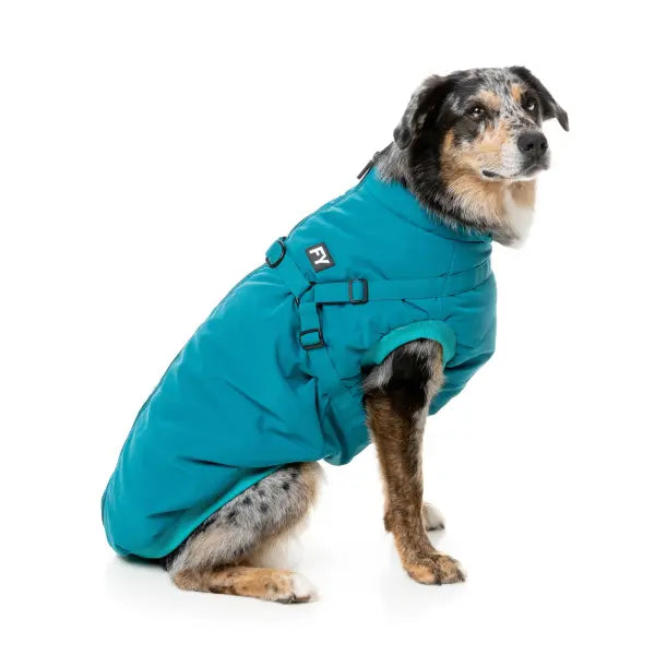 FuzzYard Flash Dog Harness Jacket - Teal