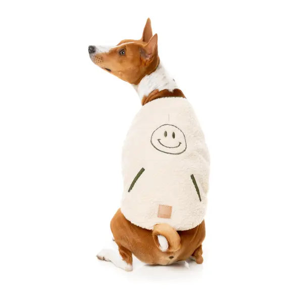 FuzzYard Nara Reversible Dog Jacket - Beige