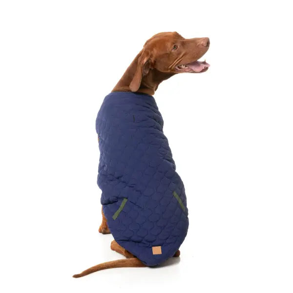 FuzzYard Nara Reversible Dog Jacket - Dark Moss