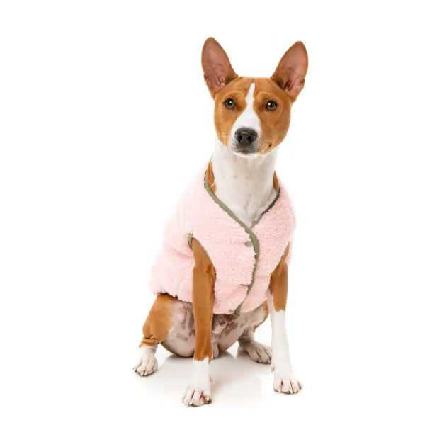 FuzzYard Nara Reversible Dog Jacket - Pink