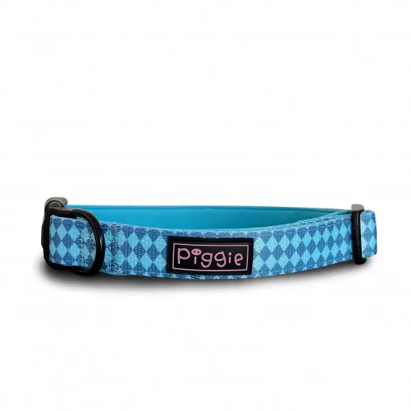 Harlequin Dog Collar Aqua