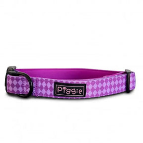 Harlequin Dog Collar Purple