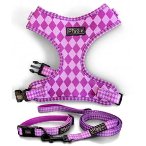 Harlequin Dog Collar Purple