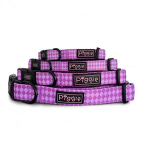 Harlequin Dog Collar Purple