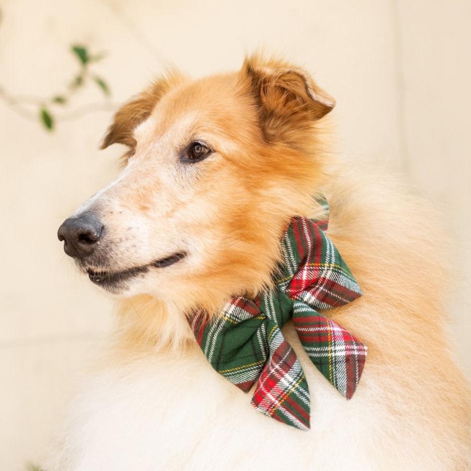 Holly Jolly Plaid Flannel Lady Bow Collar