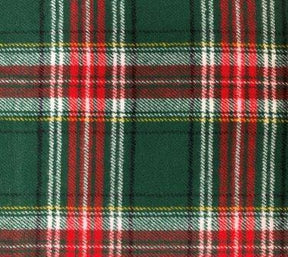 Holly Jolly Plaid Flannel Collar Walk Set