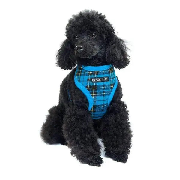 Luxury Fur Lined Blue Tartan Dog Harness