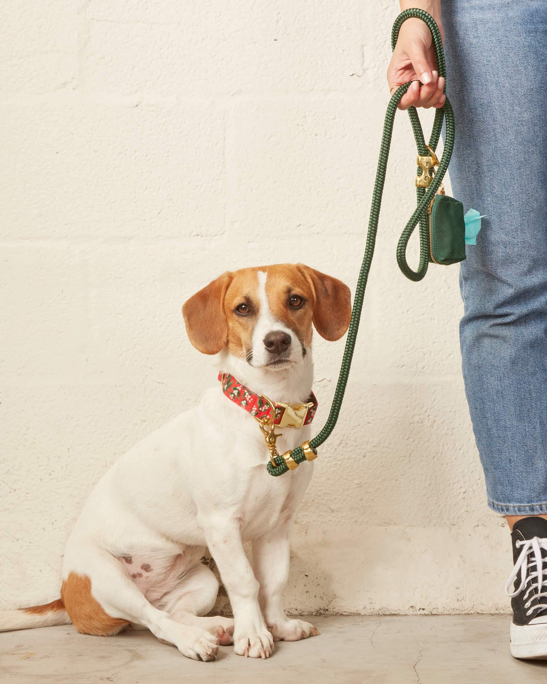 Rifle Paper Co. x TFD Mistletoe Collar Walk Set