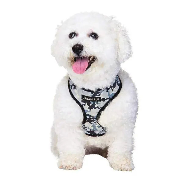 Urban Camouflage Designer Dog Harness